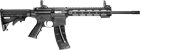 Smith & Wesson MP15-22